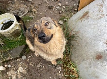 Schüchterne Runa sucht sicheres Zuhause