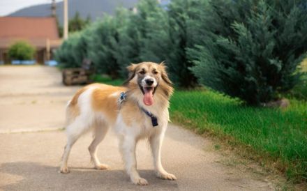 Freundliche und zugewandte Sun