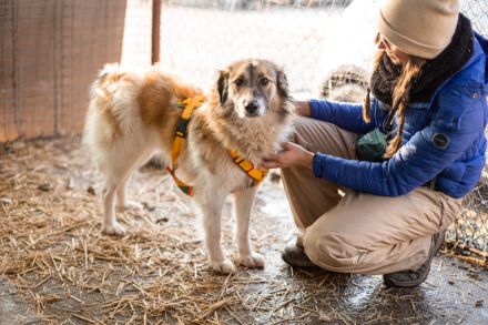 Freundliche und zugewandte Sun