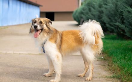 Freundliche und zugewandte Sun