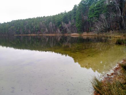 Urlaub in Masuren mit Hund - Ferienhaus, Angelurlaub