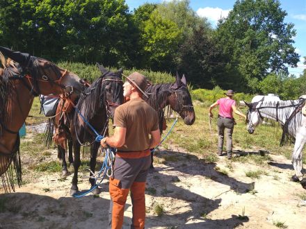 Urlaub in Masuren mit Hund - Ferienhaus, Angelurlaub