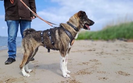 Bria möchte endlich ankommen