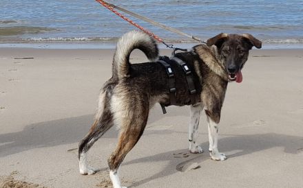 Bria möchte endlich ankommen