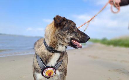 Bria möchte endlich ankommen