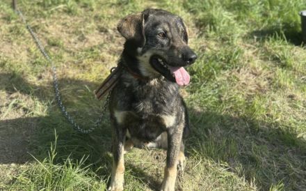 Matteo wartet auf seine Familie