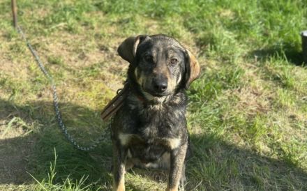 Matteo wartet auf seine Familie