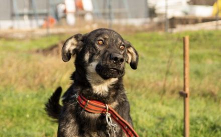 Matteo wartet auf seine Familie