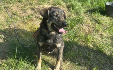 Matteo wartet auf seine Familie