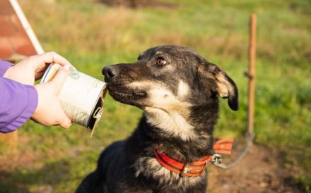 Matteo wartet auf seine Familie