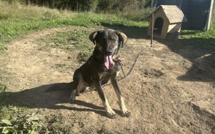 Matteo wartet auf seine Familie