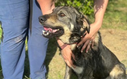 Matteo wartet auf seine Familie