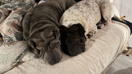 from Wrinkle Soul