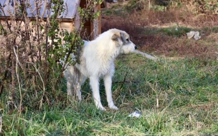 Ylvi sucht ihren Platz im Leben!