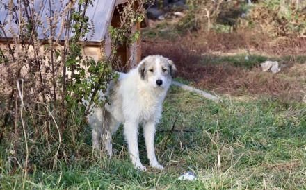 Ylvi sucht ihren Platz im Leben!