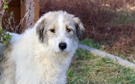 Ylvi sucht ihren Platz im Leben!