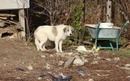 Ylvi sucht ihren Platz im Leben!