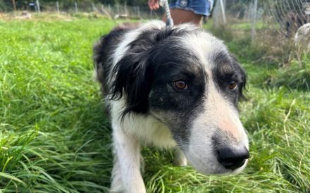 Wer gibt der entzückenden Alice eine Chance?