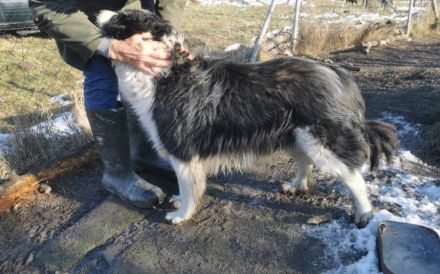 Wer gibt der entzückenden Alice eine Chance?