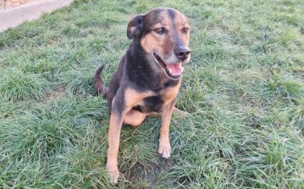 Hier kommt Ernie und nicht Bert :)