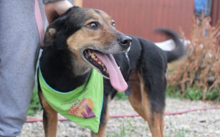 Hier kommt Ernie und nicht Bert :)