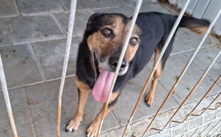 Hier kommt Ernie und nicht Bert :)