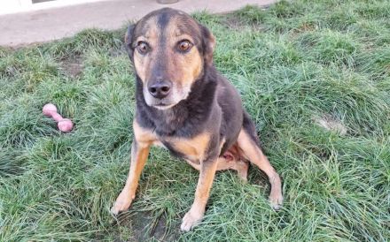 Hier kommt Ernie und nicht Bert :)