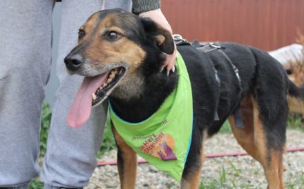 Hier kommt Ernie und nicht Bert :)