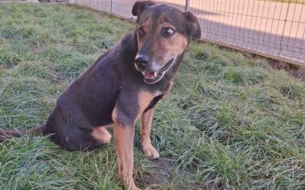 Hier kommt Ernie und nicht Bert :)