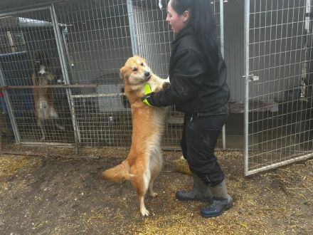 Mali - möchte Einzelprinzessin werden