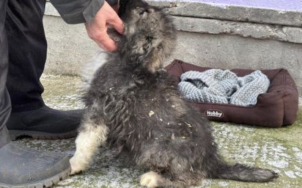 Balthasar - wer sonst?!