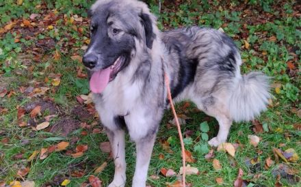 Balthasar - wer sonst?!