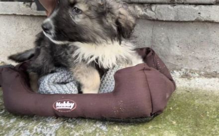 Balthasar - wer sonst?!