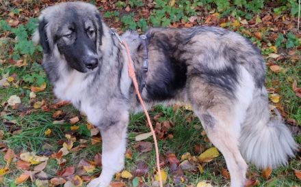 Balthasar - wer sonst?!