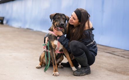 Happy End für Dusza gesucht