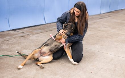 Happy End für Dusza gesucht