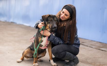 Happy End für Dusza gesucht