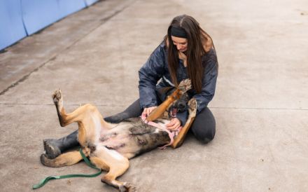 Happy End für Dusza gesucht