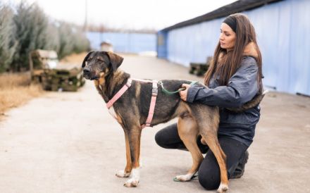 Happy End für Dusza gesucht