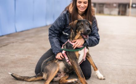 Happy End für Dusza gesucht