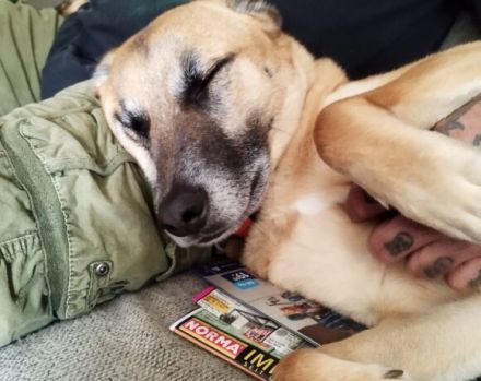 Hallo, ich bin Lasar!