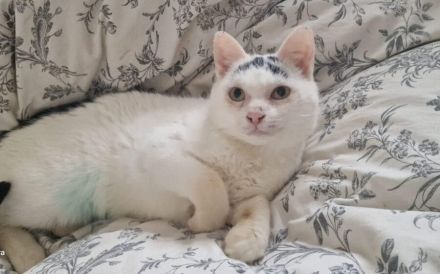 Suzette wartet sehnsüchtig auf ihre neue Familie