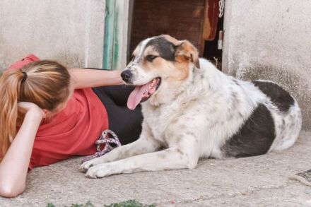 Pfiffiger Huckleberry Finn sucht ein Zuhause.