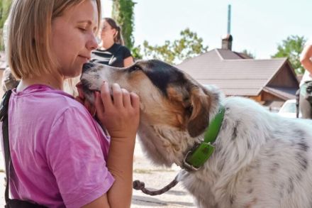 Pfiffiger Huckleberry Finn sucht ein Zuhause.