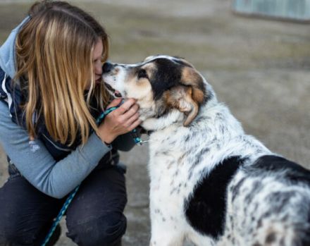 Pfiffiger Huckleberry Finn sucht ein Zuhause.