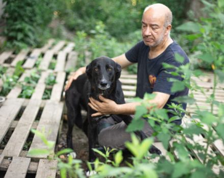 Nistru; süßer Fratz, mit weißem Latz sucht sein Zuhause.