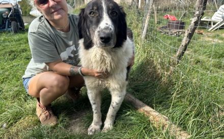 Punktnase Mukki sucht seine Familie. Adopt, don´t shop.