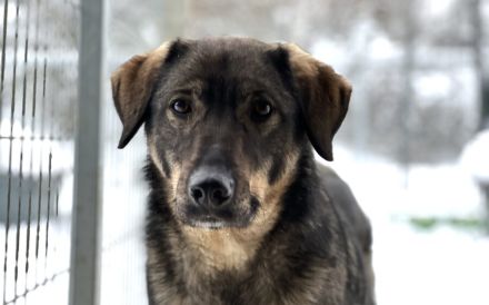 Sensibler Felio sucht geduldige Menschen