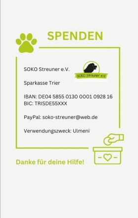 Aurora, freundlich und menschenbezogen, sucht ihr Zuhause