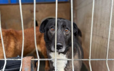 Hier kommt die bezaubernde Venus